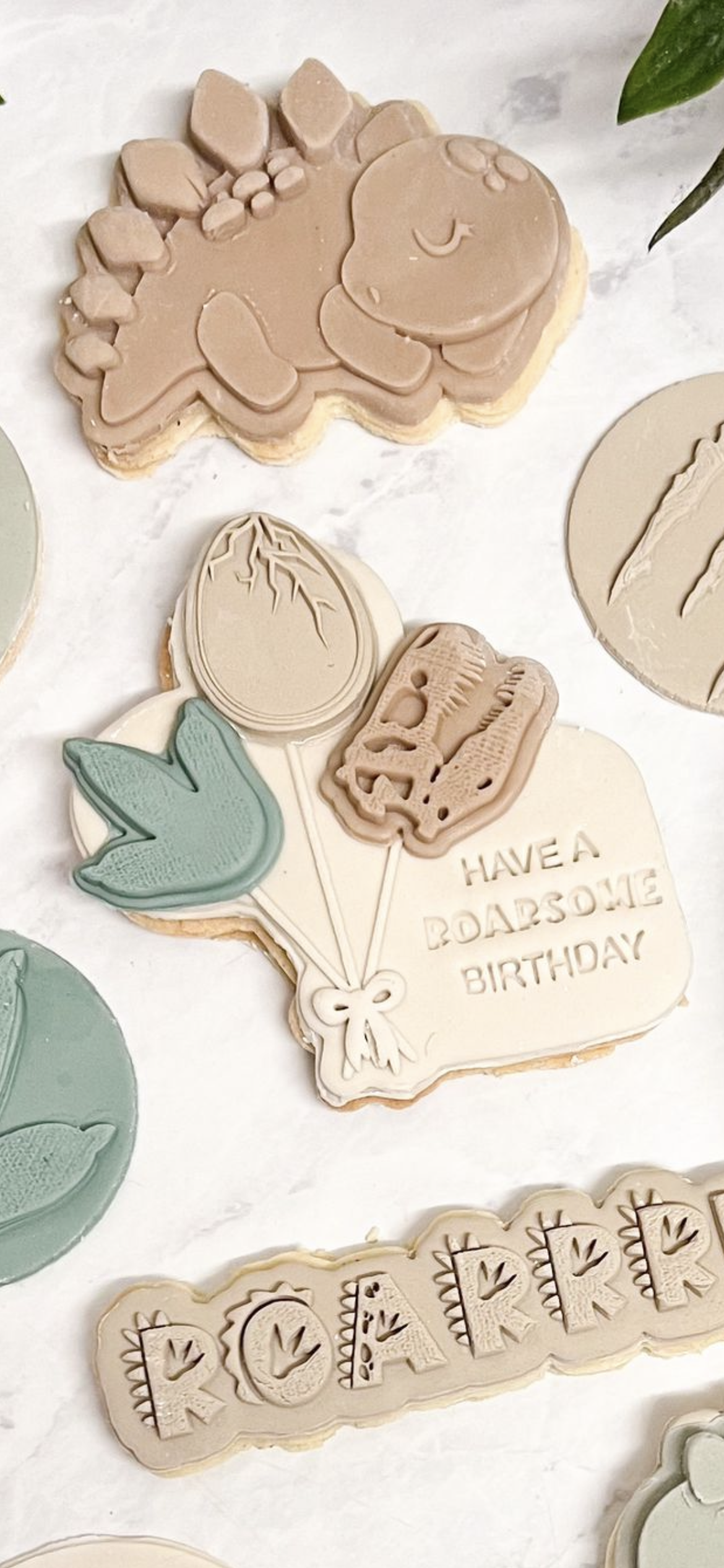 Dinosaur Balloons Changeable Cookie Embosser